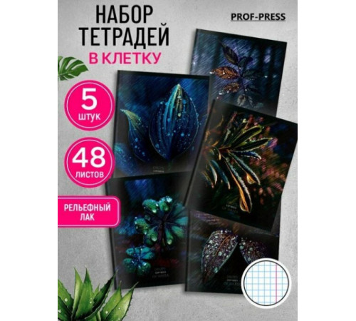 Тетрадь КЛЕТКА 48л. КРАСИВАЯ ПРИРОДА - 5 (48-9884) твин-лак, цвет.мелов.обл., 5 диз в спайке