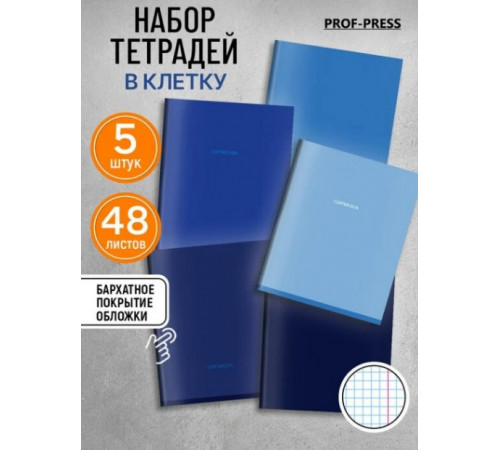 Тетрадь КЛЕТКА 48л. ОТТЕНКИ СИНЕГО - 1 (Т48-0131) цв мел обл,5 диз в сп. софт-тач