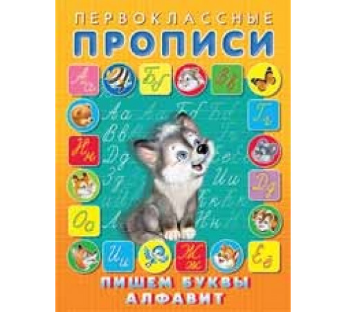 Прописи. Первоклассные прописи. Пишем буквы, алфавит