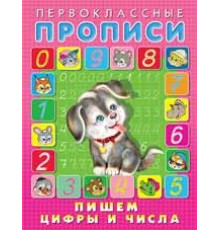 Первоклассные прописи. Пишем цифры и числа