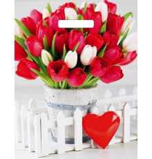 Пакет 31*40+3=60 мкм Белиция Глянец ВД прор (50-1000)