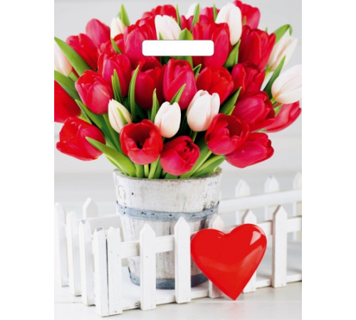 Пакет 31*40+3=60 мкм Белиция Глянец ВД прор (50-1000)