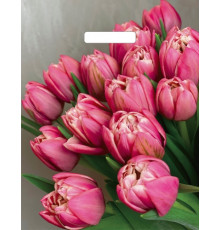 Пакет с вырубной ручкой 31*40+3=60 мкм Стелла Глянец ВД прор (50/1000)