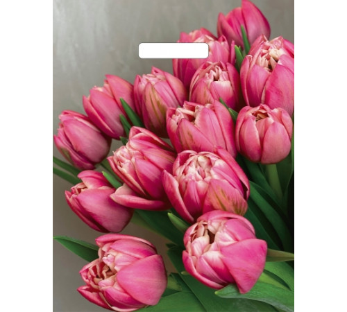 Пакет с вырубной ручкой 31*40+3=60 мкм Стелла Глянец ВД прор (50/1000)