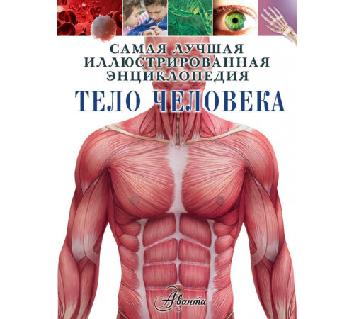 Тело человека. Самая лучшая иллюстрированная энциклопедия