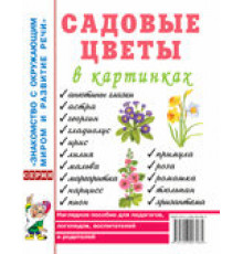 Садовые цветы в картинках. Наглядное пособие для педагогов, воспитателей, логопедов, родителей. 60174