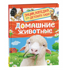 Р.Домашние животные (Энциклопедия для детского сада)