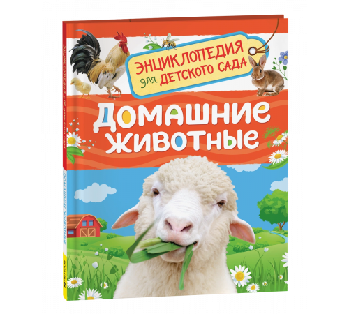 Р.Домашние животные (Энциклопедия для детского сада)