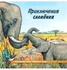 Книжки в мягкой обложке - Познавательное Чтение. Познаем мир вокруг нас. Приключения слоненка