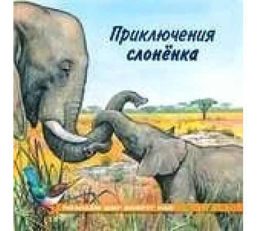Книжки в мягкой обложке - Познавательное Чтение. Познаем мир вокруг нас. Приключения слоненка