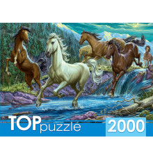 TOPpuzzle.ПАЗЛЫ 2000 элементов. Ночной табун лошадей.ХТП200-1594