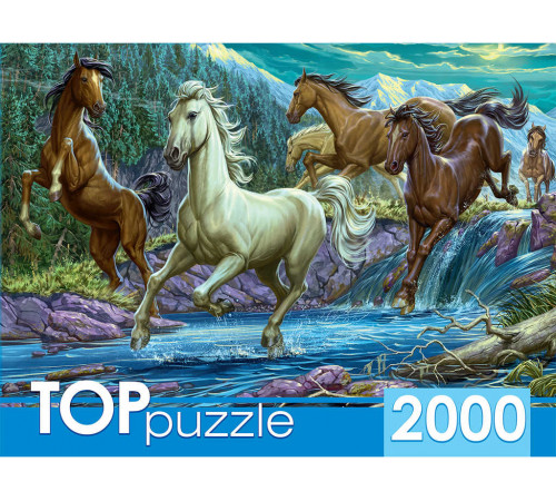 TOPpuzzle.ПАЗЛЫ 2000 элементов. Ночной табун лошадей.ХТП200-1594