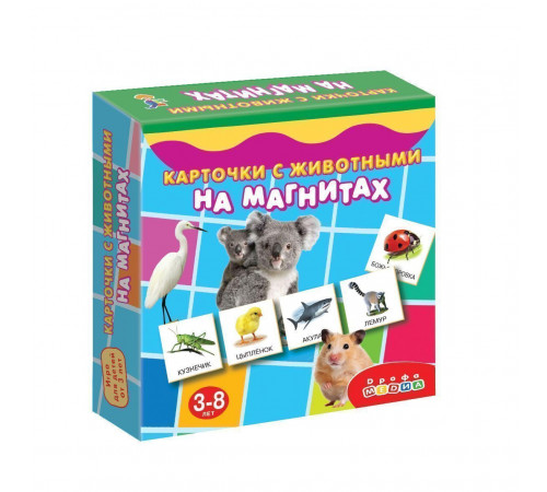 Магнит в коробке. Карточки с животными на магнитах Магнит в коробке. Карточки с животными на магнитах