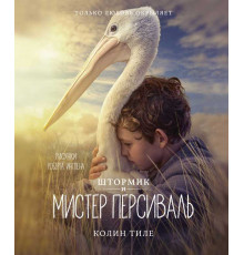 Книги с иллюстрациями Роберта Ингпена.
Тиле К. Штормик и мистер Персиваль