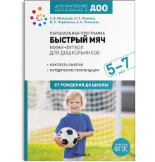 Парциальная программа «Быстрый мяч». Мини-футбол для дошкольников 5-7 лет. ФГОС. Дополнительное образование в ДОО