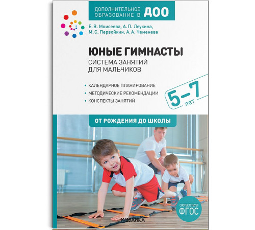 Юные гимнасты. Система занятий для мальчиков 5-7 лет. ФГОС Юные гимнасты. Система занятий для мальчиков 5-7 лет. ФГОС