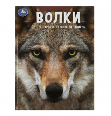 Волки. В царстве лесных охотников.(Энциклопедия А4 с развивающими заданиями)48 стр.