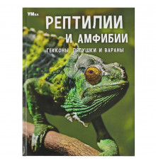 Рептилии и амфибии. Гекконы, лягушки и вараны. Энциклопедия. 197х255мм. 7БЦ. 48 стр.