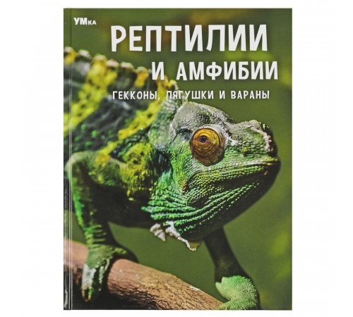 Рептилии и амфибии. Гекконы, лягушки и вараны. Энциклопедия. 197х255мм. 7БЦ. 48 стр.