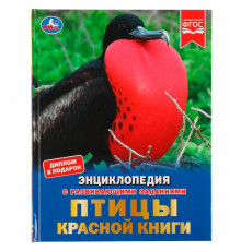 Птицы Красной книги. Н. В. Седова. Энциклопедия с развивающими заданиями. 48 стр.