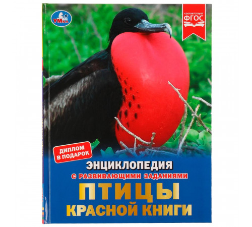 Птицы Красной книги. Н. В. Седова. Энциклопедия с развивающими заданиями. 48 стр.