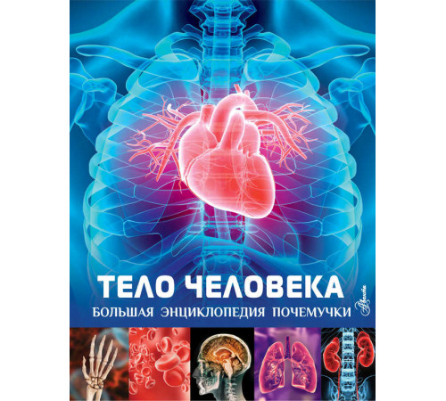 Большая энциклопедия почемучки. Тело человека