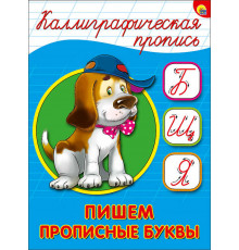 КАЛЛИГРАФИЧЕСКАЯ ПРОПИСЬ А5. ПИШЕМ ПРОПИСНЫЕ БУКВЫ