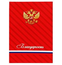 Подарочный диплом С благодарностью