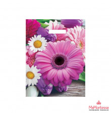 Пакет 31*40+3=60 мкм Ароматная палитра Глянец ВД прор (50-1000)