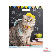 Пакет 39*48 =50 Грэй Глосс Учёный кот ВД Глянец  прор (50-500) №16