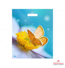 Пакет 38*45 =60 Богемия ВД Глянец  прор (50-500) №16