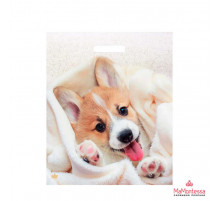 Пакет 38*45=60 Малыш Веня Ламинат прор (50-500) №16