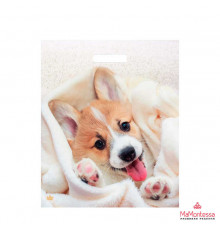 Пакет 38*45=60 Малыш Веня Ламинат прор (50-500) №16