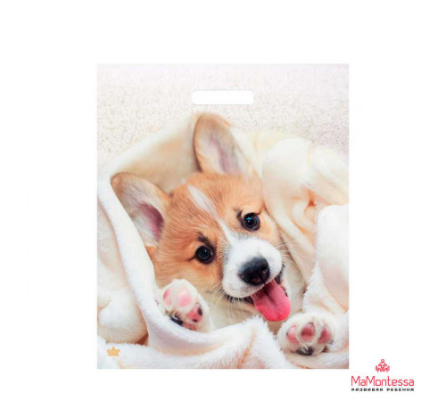 Пакет 38*45=60 Малыш Веня Ламинат прор (50-500) №16