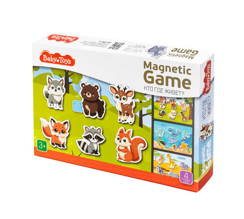 Игра магнитная 