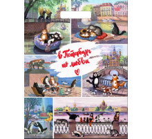 ТК.Пакет 31*40 =60 Петербург по любви  ВД Глянец прор (50-500) №16