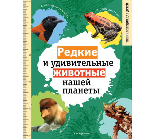Редкие и удивительные животные нашей планеты. Энциклопедия для детей