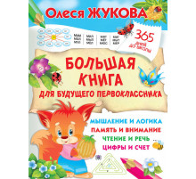 Большая книга для будущего первоклассника. 365 дней до школы