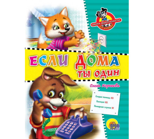 ЦК. ШКОЛА БЕЗОПАСНОСТИ. ЕСЛИ ДОМА ТЫ ОДИН