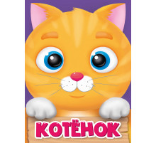 ЦК МИНИ. КОТЁНОК