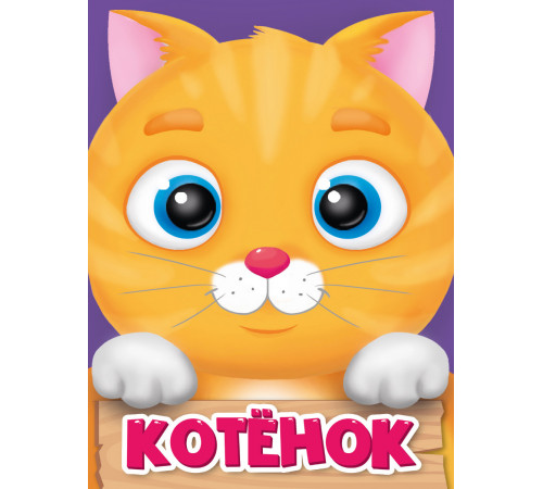 ЦК МИНИ. КОТЁНОК