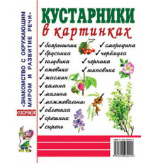Кустарники в картинках. Наглядное пособие для педагогов, логопедов, воспитателей и родителей. 60066
