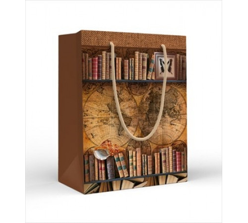 Пакет подарочный (M) Книги и карта мира 15.25.02245
