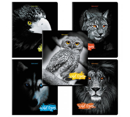 Тетрадь А5 48л. BRAUBERG скоба, клетка, выборочный лак, Wild eyes (микс в спайке), 404343