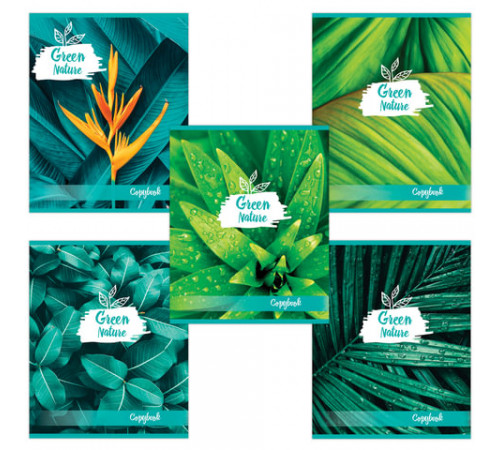 Тетрадь А5 48л. BRAUBERG скоба, клетка, обложка картон, GREEN NATURE, 403033