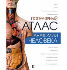 Популярный атлас анатомии человека (Палычева Л. Н, Лазарев Н. В.)