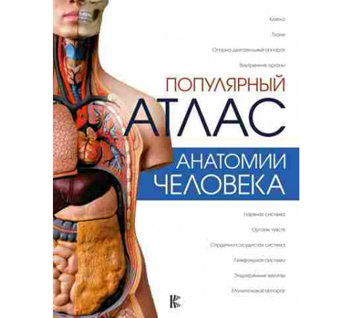 Популярный атлас анатомии человека (Палычева Л. Н, Лазарев Н. В.)