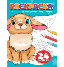 РАСКРАСКА А5. ДОМАШНИЕ ЖИВОТНЫЕ