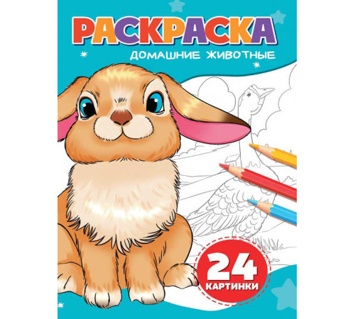 РАСКРАСКА А5. ДОМАШНИЕ ЖИВОТНЫЕ