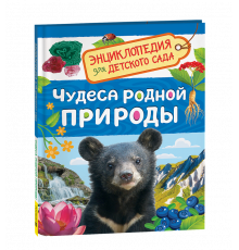 Р.Чудеса родной природы (Энциклопедия для детского сада)